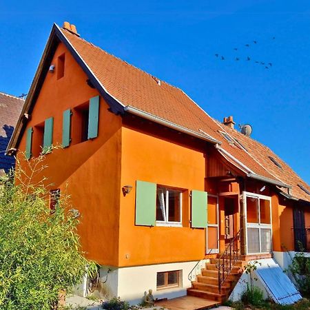 Beau Logement Au Centre D'Alsace Epfig Eksteriør billede